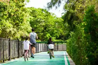 Jogging & Cycling Track